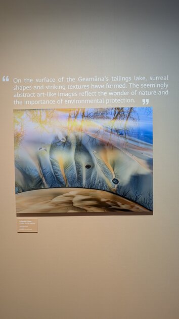 Яркие кадры, цифровизация и даже ИИ: как прошла выставка Paris Photo 2025