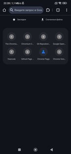 DROIDCHROME 142.0.7444.214. Скриншот 6
