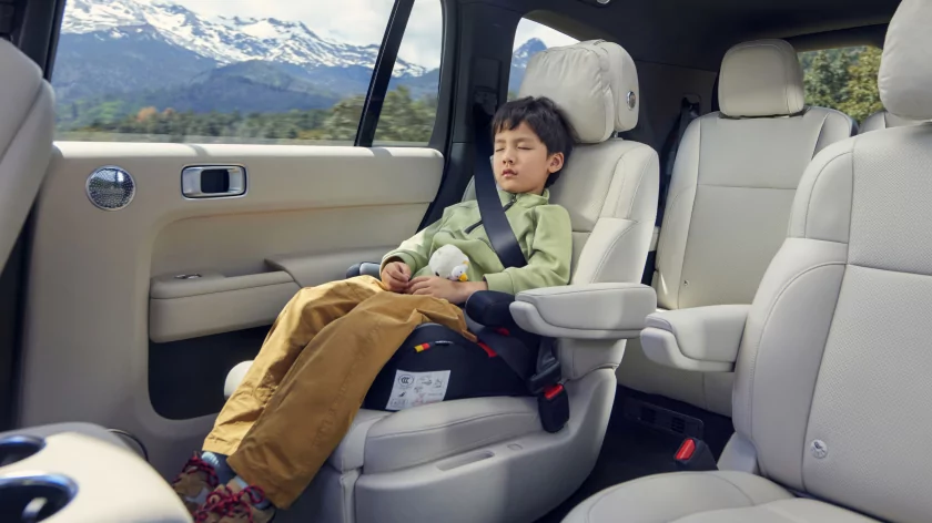 Кроссоверы Li Auto получили «зелёный свет» в России — ОТТС и новые цены