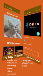 Fox Video. Скриншот 1