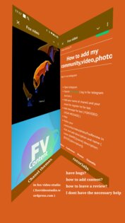 Fox Video. Скриншот 2