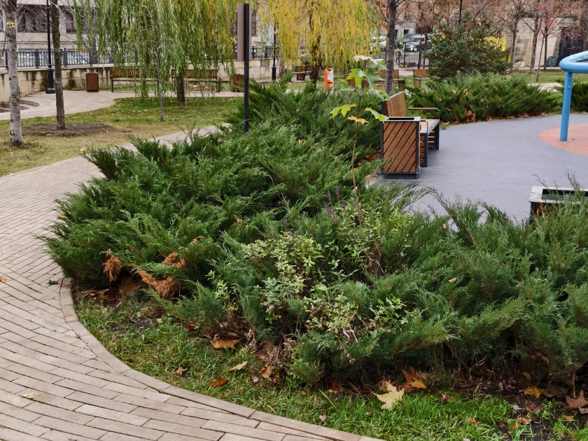 Обзор iQOO 15: доказывает, что хороший флагманский смартфон не должен быть излишне дорогим — Камеры. 34