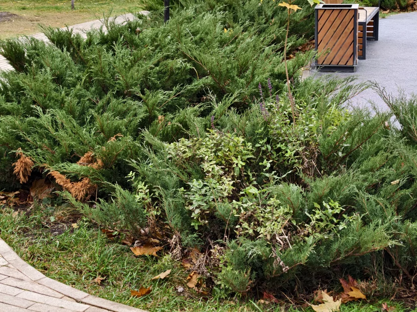 Обзор iQOO 15: доказывает, что хороший флагманский смартфон не должен быть излишне дорогим — Камеры. 35