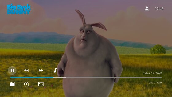 Jellyfin 2.6.3. Скриншот 3