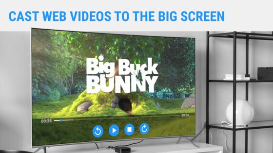 Web Video Caster Receiver 2.1.1. Скриншот 5