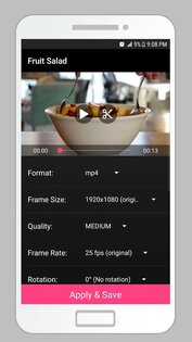 Smart Video Editor 2.8. Скриншот 16