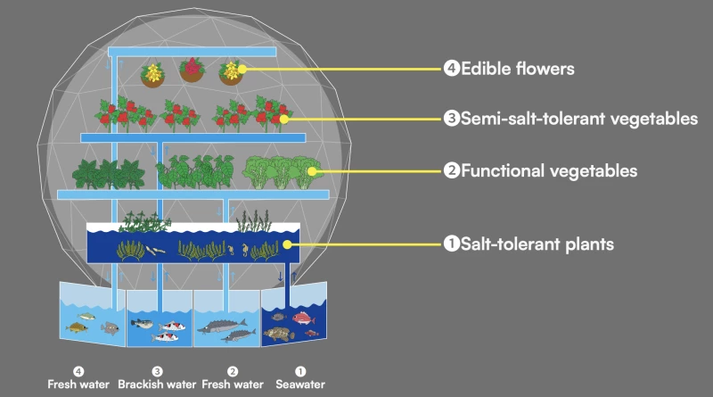 В Японии представили необычный купол для выращивания продуктов питания с помощью рыб