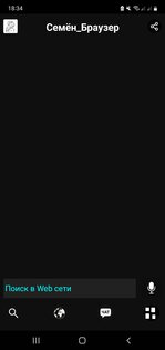 Семён Браузер — простой браузер на WebView. Скриншот 1