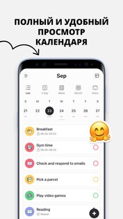 Plan Joy 7.0.1. Скриншот 5