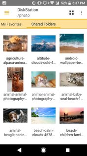 DS file 4.17.2. Скриншот 2