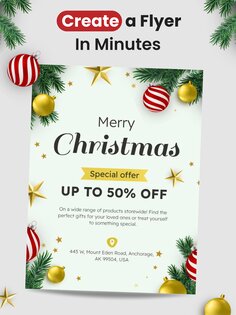 Flyerwiz 165.0. Скриншот 12