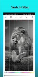 GridArt 1.10.0. Скриншот 5