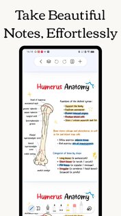 Freenotes 2.35.1. Скриншот 1