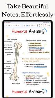 Freenotes 2.35.1. Скриншот 13