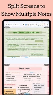 Freenotes 2.35.1. Скриншот 15