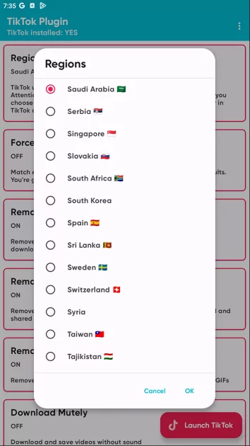 Моды на TikTok: что умеют и почему не стоит пользоваться