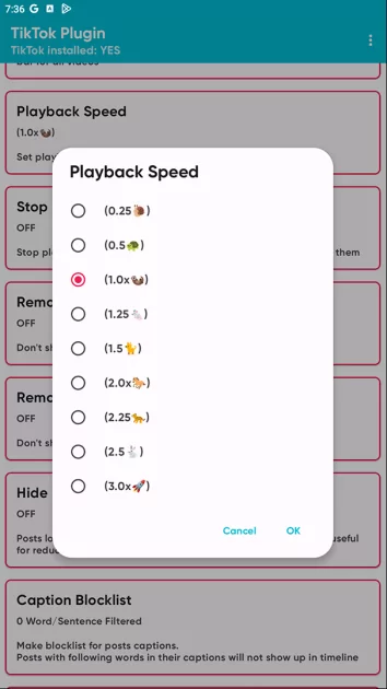 Моды на TikTok: что умеют и почему не стоит пользоваться