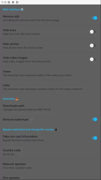 Моды на TikTok: что умеют и почему не стоит пользоваться