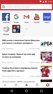 Opera Mini 97.1.2254.80849. Скриншот 2