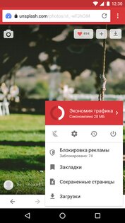 Opera Mini 97.1.2254.80849. Скриншот 3
