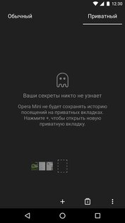 Opera Mini 97.1.2254.80849. Скриншот 8