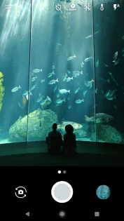 Pixel Camera 10.1.076.821848723.18. Скриншот 1