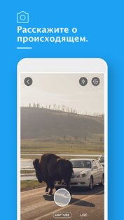 X (Твиттер) 11.49.1. Скриншот 5