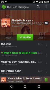 PlayerPro 5.39. Скриншот 5