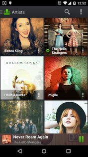 PlayerPro 5.39. Скриншот 8