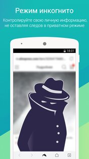 Dolphin Browser 12.4.2. Скриншот 7