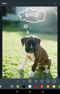 Photo Editor by Aviary 4.8.4. Скриншот 14