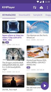 KMPlayer 35.12.222. Скриншот 3