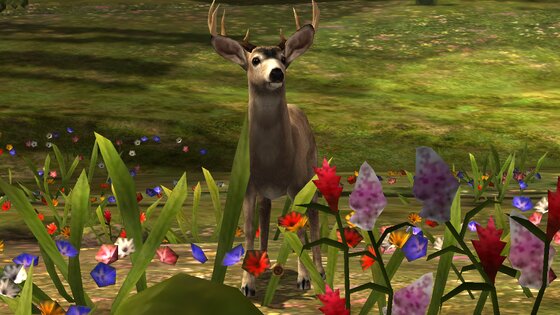 Deer Hunter Classic 3.14.0. Скриншот 4