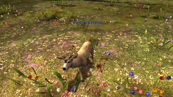 Deer Hunter Classic 3.14.0. Скриншот 5