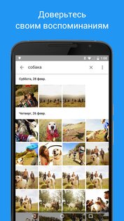 Google Фото 7.56.0.842383089. Скриншот 1