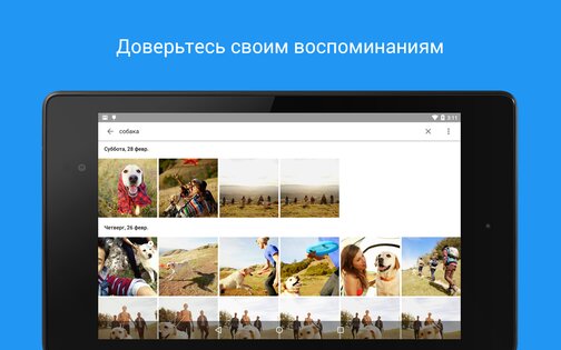 Google Фото 7.56.0.842383089. Скриншот 11