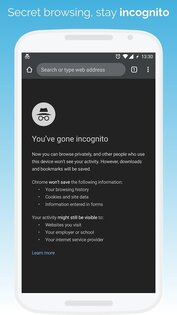 Kiwi Browser 139.0.7339.0. Скриншот 5
