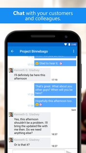 TeamViewer 15.73.43. Скриншот 5