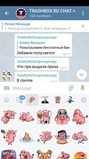 Vidogram 3.2.6. Скриншот 2