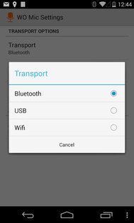 WO Mic 5.3. Скриншот 2