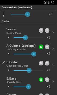 Guitar Pro 1.6.3. Скриншот 14