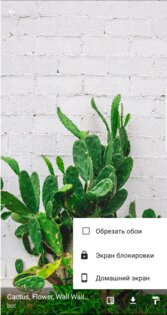 Wallpaper HD/UHD 2.2.3. Скриншот 4