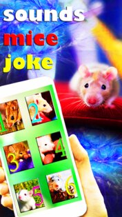 Звуки Мыши Дразнить Кота 1.0. Скриншот 1