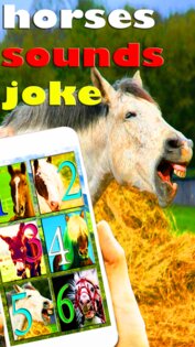 Прикольные Звуки Лошадей 1.0. Скриншот 2