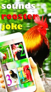 Звуки Петуха Пугай Кошек 1.0. Скриншот 2