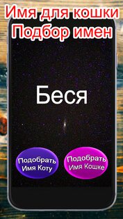 Имя Для Кошки Подбор Имен 1.0. Скриншот 2