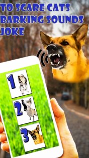 Пугать Кошек Звуки Лая Шутка 2.0. Скриншот 2