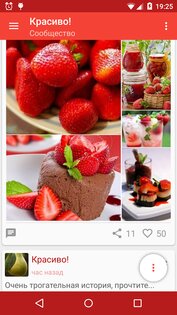 Полиглот ВКонтакте 4.39. Скриншот 4