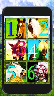 Прикольные Звуки Лошадей 1.0. Скриншот 1