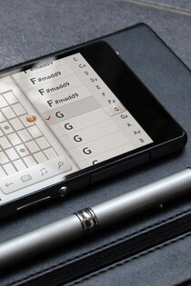 Real Guitar 3.41. Скриншот 7